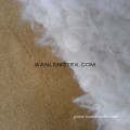  faux suede fabric bonded berber fleece for garment Supplier